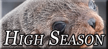 High Season